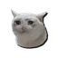 cashcat